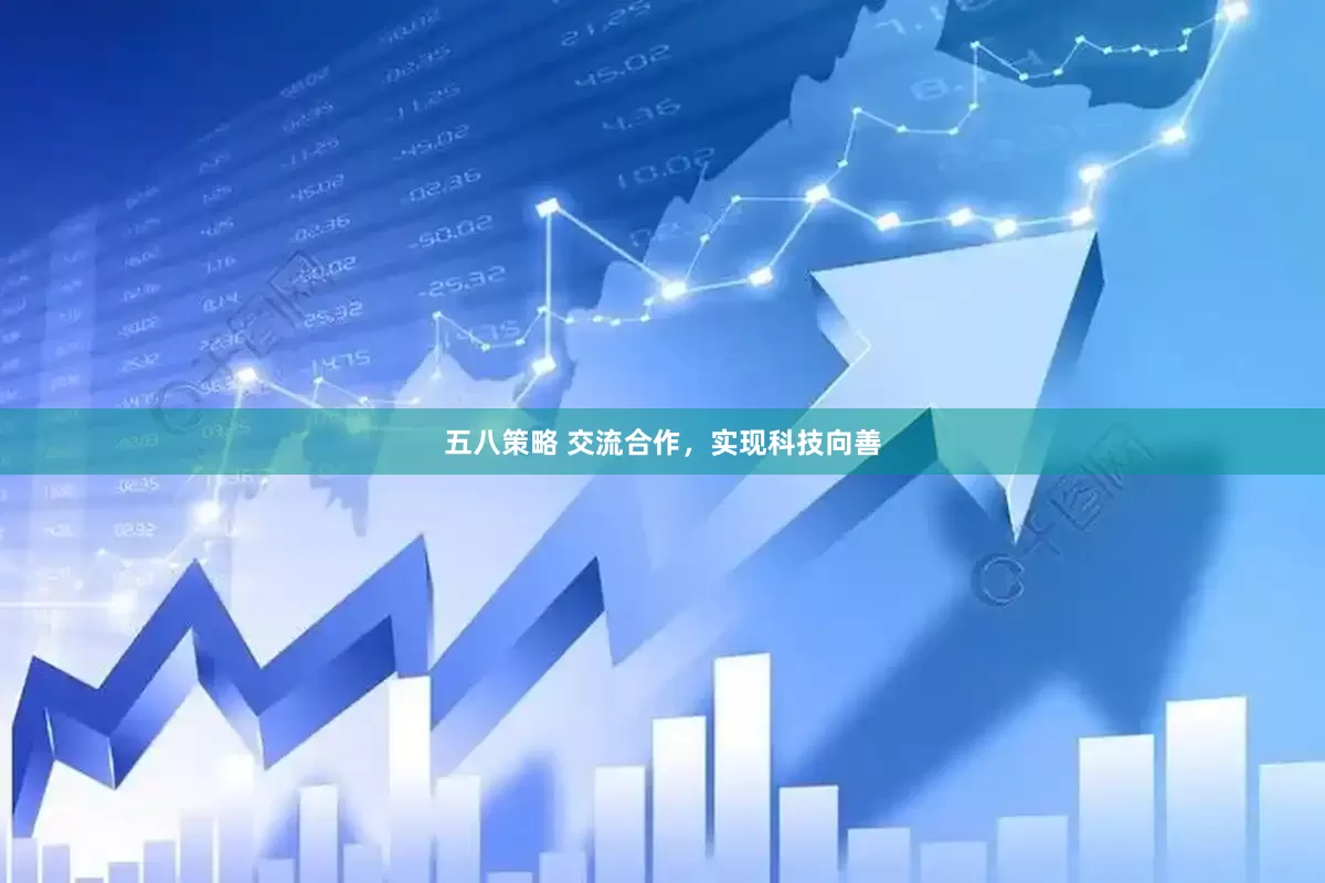 五八策略 交流合作，实现科技向善