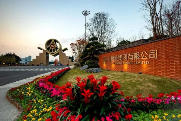 股融通 白酒T9峰会观察: 五粮液的“经典产业”思考