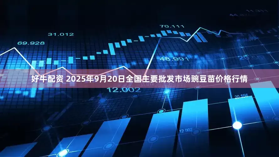 好牛配资 2025年9月20日全国主要批发市场豌豆苗价格行情